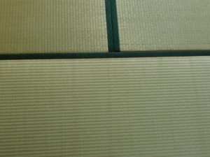 特別割引のお知らせ